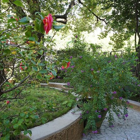 Appartamento La Casa Dell'Albero La Spezia Esterno foto